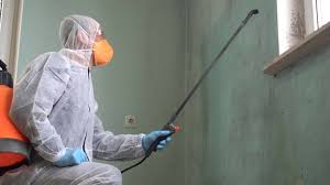 Best Mold Remediation for Vacation Homes  in Sinking Spring, PA